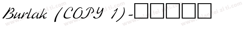 Burlak (COPY 1)字体转换